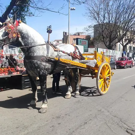 Demasiantval House Appartement Palerme