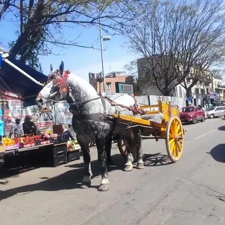 Demasiantval House Palerme